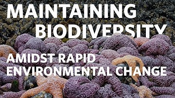 Dr. Chris Harley - Maintaining Biodiversity Amidst Rapid Environmental Change | UBC Lecture Series