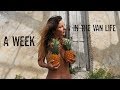 Van Life in Tulum - A Week In The Van Life of two Italian vloggers - Sian Ka’an Reserve Riviera Maya