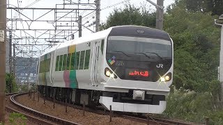 【中央線 E257系臨時特急他】豊田～八王子 E257系･E353系･E233系･211系