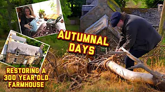 New: Autumnal Days at the Georgian Farmhouse | Built in 1743 #dailyvlog #restoration