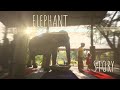 THAILAND The Elephant Story MINI DOCUMENTARY FEATURE