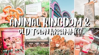 ANIMAL KINGDOM & OLD TOWN KISSIMMEE | CHARACTERS, ANIMALS & THE ANIMATION CLASS | DISNEY VLOGS 2022