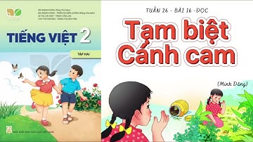TẠM BIỆT CÁNH CAM - Tuần 26 - Bài 16 [Đọc] - Tiếng Việt Lớp 2 - Tập 2 - Sách KẾT NỐI TRI THỨC