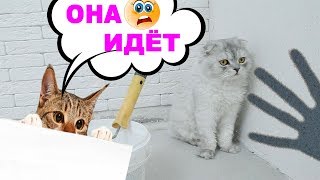К НАМ ЕДЕТ ЗЛАЯ ТЁТЯ ЛУИЗА! КОТЫ ПОДСЛУШАЛИ МАМУ И ПАПУ К НАМ ЕДЕТ ЗЛАЯ ТЁТЯ ЛУИЗА! КОТЫ ПОДСЛУШАЛИ МАМУ И ПАПУ