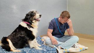 Thumbnail for Here’s Why I Had to take this Dog IMMEDIATELY...