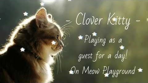 Playing As A Guest For A Day! || Meow Playground
