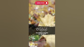 سورة الإخلاص #اكتب_شي_تؤجر_عليه #قرآن #qurantilawat #فارس_عباد #المسلمين #مكة_المكرمة #سورة_الاخلاص