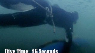 Free Dive - Gold Divers Under the Ice
