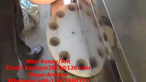 QH-100 cherry pitting machine, fruit pitting, coring , stoning, stone removing machine