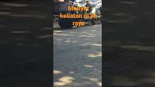 SEKOR MONYET KELIARAN DI JLN RAYA‼️#monyet #jalanraya #viral