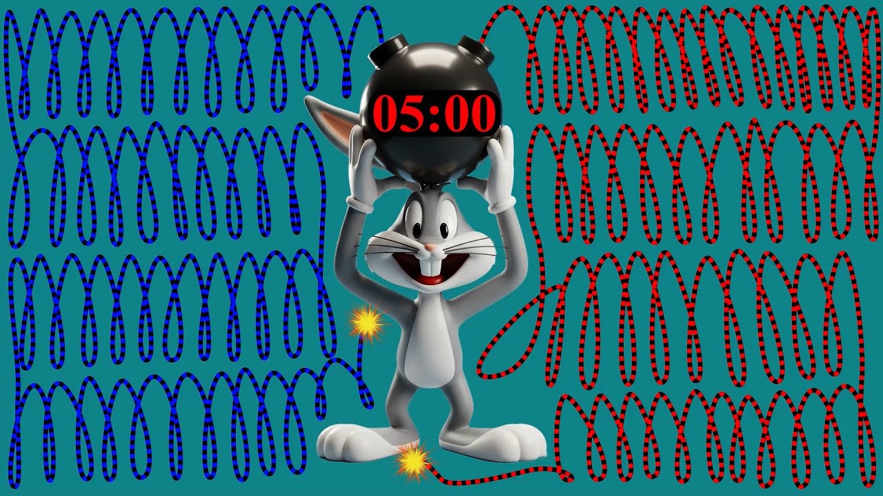5 Minute Bugs Bunny Countdown Timer [Explosive Ending]