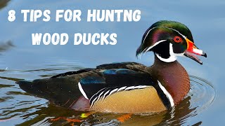 8 Tips For Wood Duck Hunting