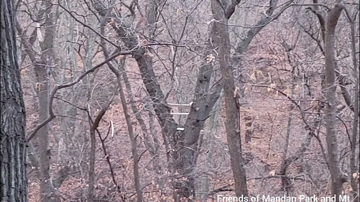 December 8th 2022 walk