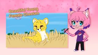 Sakura Cat Beautiful Young Female Cheetah, Draw With Me Speed Drawing.