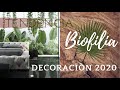 Biofilia la tendencia de decoración 2020