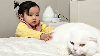 [SUB] 친구 집에서 고양이를 본 수다쟁이 루다의 반응은!? 🐱 (24개월 아기)
