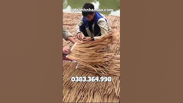 THI CÔNG RƠM NHÂN TẠO CHỐNG NÓNG cho mái tôn, mái ngói... #cotranhnhantao #shorts #romnhantao