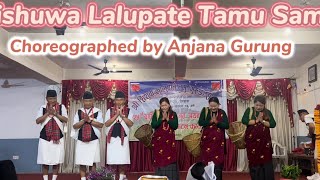 || MARAI TA JHALALA || Gurung Song ||Shishuwa Lalupate Tamu Samaj ❤️|| @pabitragurung5231