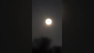 The  Moon Is Blue Which Is  Very Beautiful To See At Night