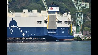 自動車運搬船「豊洋丸」出渠　令和6年5月5日