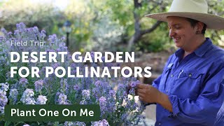 Tour a DESERT POLLINATOR Garden — Ep. 360