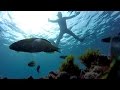 Snorkelling Los Cristianos, Tenerife