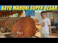 Proses penggergajian kayu mahoni super besar bahan bak truk modifikasi || Wood working