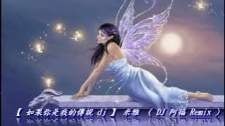 【 如果你是我的傳說 dj 】米雅 ( DJ 阿福 ProgHouse Remix )