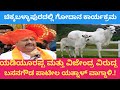ಚಿಕ್ಕಬಳ್ಳಾಪುರದಲ್ಲಿ ಬಸನಗೌಡ ಪಾಟೀಲ್ ಯತ್ನಾಳ್ ರಾಜ್ಯ ಸರ್ಕಾರದ ವಿರುದ್ಧ ವಾಗ್ದಾಳಿ#news #
