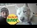 Куда Пропали? | Аллергия на Тортика | Мини Перестановка | Посылочка | Эксперементальный VLOG