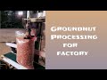 Groundnut processing for factory  ptv tamil