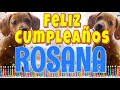 ¡Feliz Cumpleaños Rosana! (Perros hablando gracioso) ¡Muchas Felicidades Rosana!