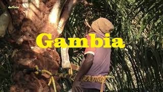 Gambia