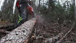 Check it out some of our forestry work............