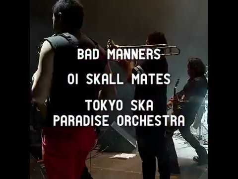 Non Stop Ska! 23 septiembre @ Palacio de los Deportes mexico primera division