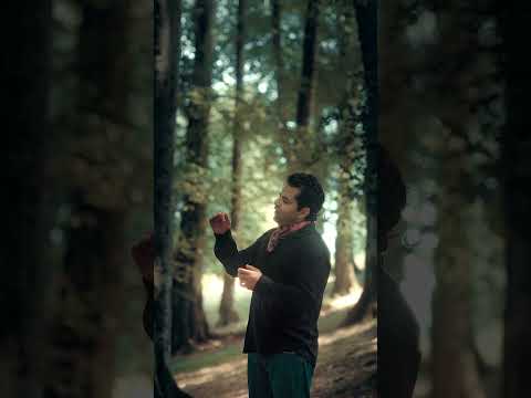 از آرزوهایی که برای همیشه به دلم ماند شاگردی استاد شجریان بزرگ