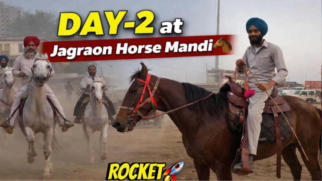 Jagraon Horse Mandi da Day-2🐎//Lali ne kaddi agg🔥