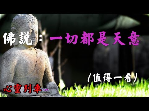 【心靈列車 】佛說：一切都是天意（值得一看）