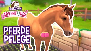 HORSE CLUB Adventures – Pferdepflege screenshot 3