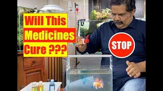 NO MORE Junk Medicine | Aquarium Fish WaterConditioner | Mayur Dev Aquascaper | All Aquarium Fish 4K