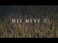 DJI Mini 2 - Why You Should Buy This Drone