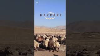 Koçerler, Hakkâri Resimi