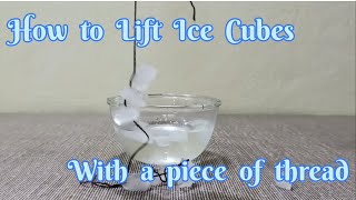 How To Lift Ice Cubes With A Piece Of Thread | Amazing Science Experiment | physics experiment