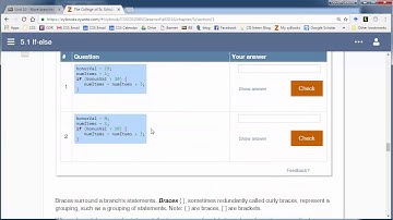 CIS 2085 zybooks 5.1