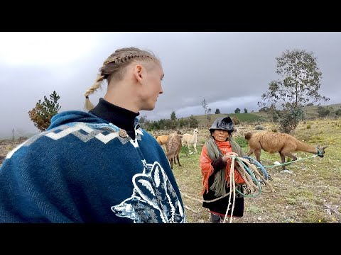 Video: Zei je inheems of aboriginal?
