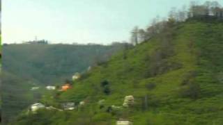 Bir Fındığın Içini Giresun Karadeniz