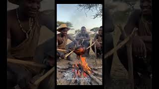 Inside The Hadzabe Tribe Wild Pig Head Roasted In The Bush