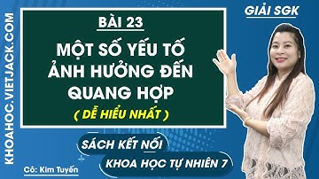 Khoa học tự nhiên Lớp 7 Bài 23 Một số yếu tố ảnh hưởng đến quang hợp Trang 104, 106 Kết nối tri thức