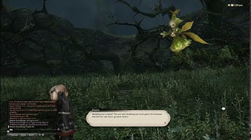 Lets Play FFXIV A Realm Reborn [018] Lancer Quests