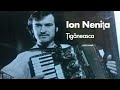 Ion Neniță - Țigăneasca (Acordeon Solo)